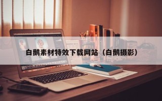 克拉玛依白鹅素材特效下载网站（白鹅摄影）